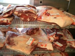 ���H�����������ł�